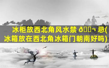 冰柜放西北角风水禁 🐬 忌(冰箱放在西北角冰箱门朝南好吗)